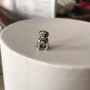 Authentic pandora charm